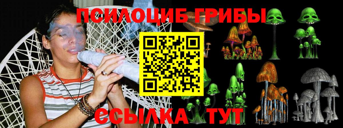Псилоцибиновые грибы Psilocybine cubensis  Вход с VPN  Азов 